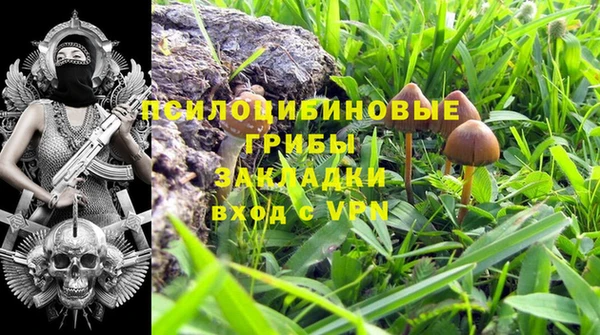 гидропоника Алзамай