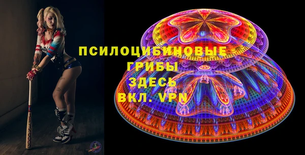 гидропоника Алзамай