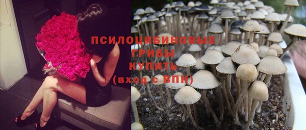 молекула духа Алексин