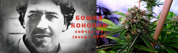 гидропоника Алзамай