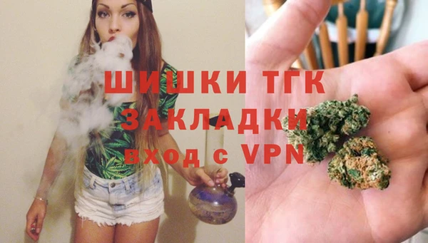 гидропоника Алзамай