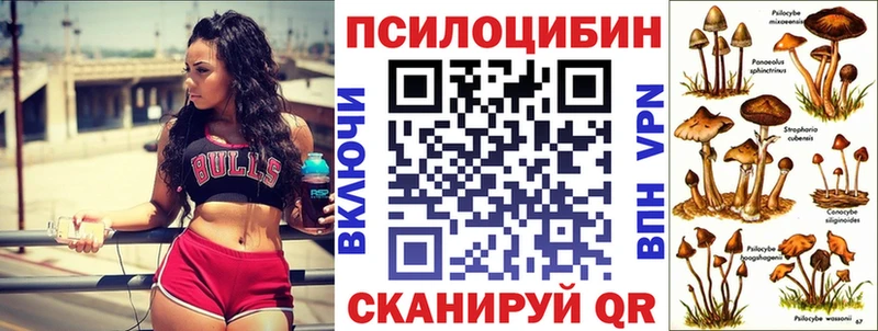 Галлюциногенные грибы мухоморы  дарнет шоп  Томари 